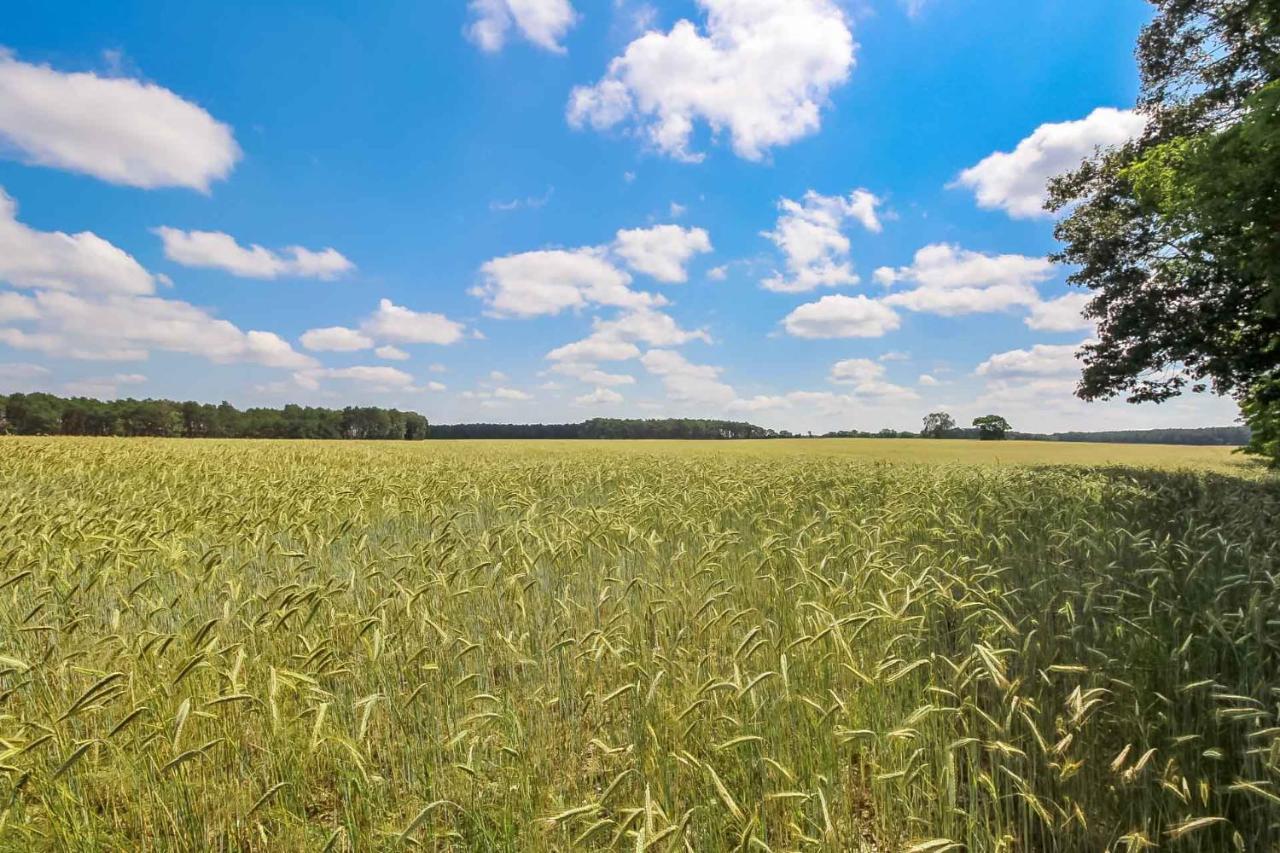 Hotel Landgut Voigtsmuehle Friedland  Zewnętrze zdjęcie