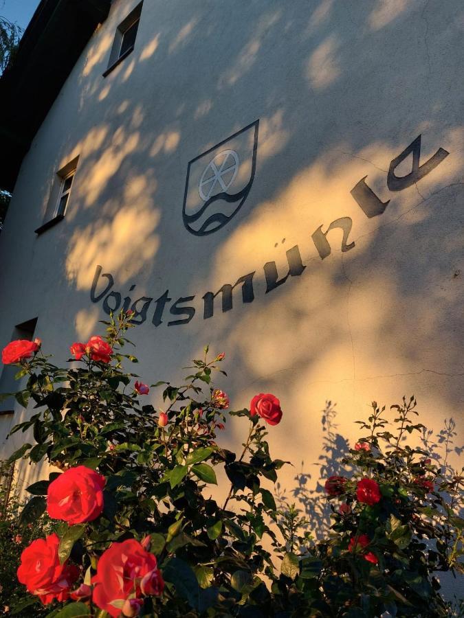 Hotel Landgut Voigtsmuehle Friedland  Zewnętrze zdjęcie